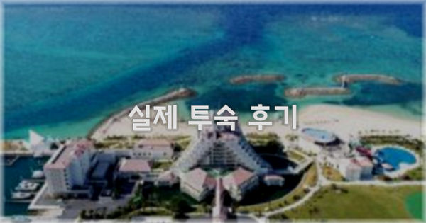 💬 실제 투숙 후기