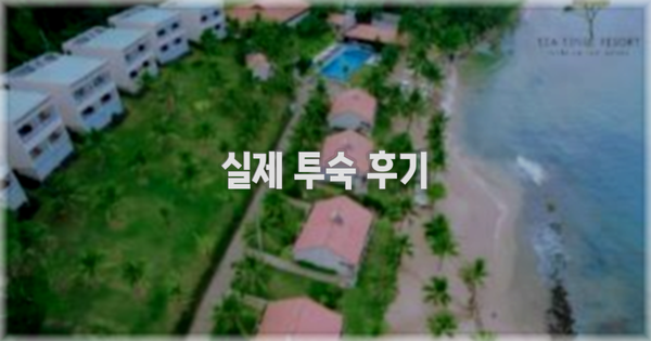 💬 실제 투숙 후기