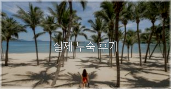 💬 실제 투숙 후기