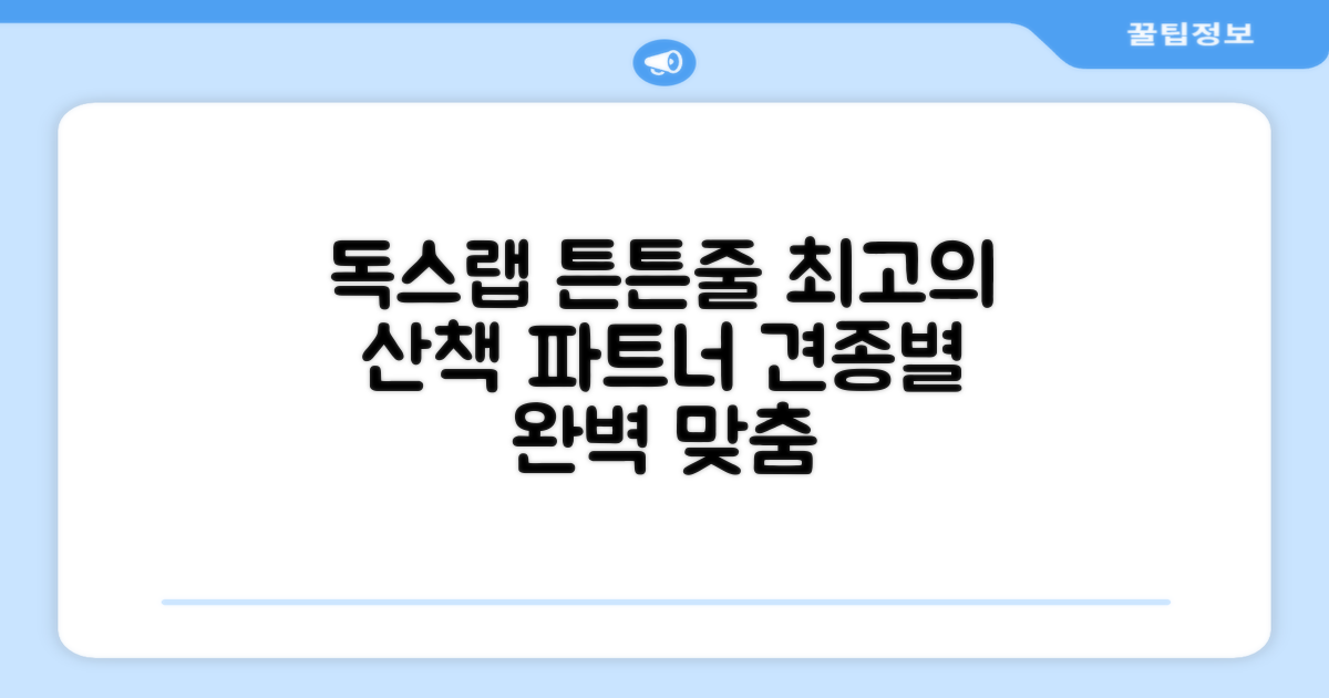 독스랩 1.5m 2m 3m 5m 스트롱 로프 소형견 중형견 대형견 줄 강아지 리드줄 산책줄, 블랙, 1개 추천 리뷰