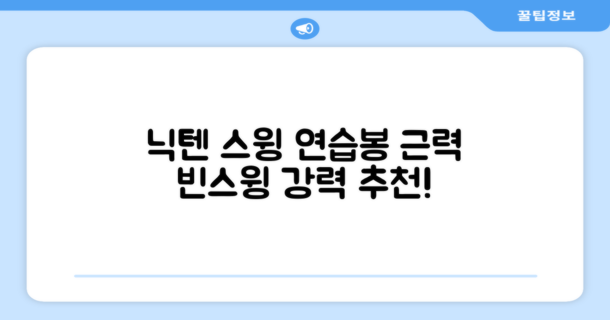 닉텐 배드민턴 스윙연습봉 - 근력강화 및 빈스윙연습, 1개, 스윙연습기 추천 리뷰