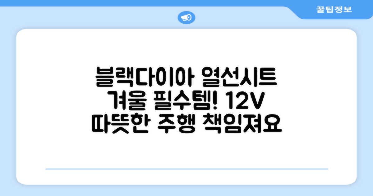 블랙다이아 차량용 열선시트 (1P) 털 겨울 히팅 전기시트: 12V 전력, 2단계 온도 조절로 겨울철 따뜻한 주행을 책임집니다!