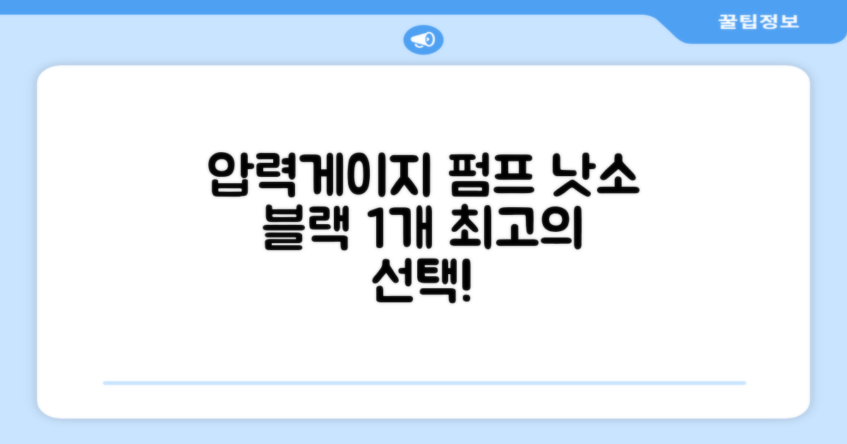 낫소 양방향 압력게이지 펌프, 블랙, 1개 추천 리뷰