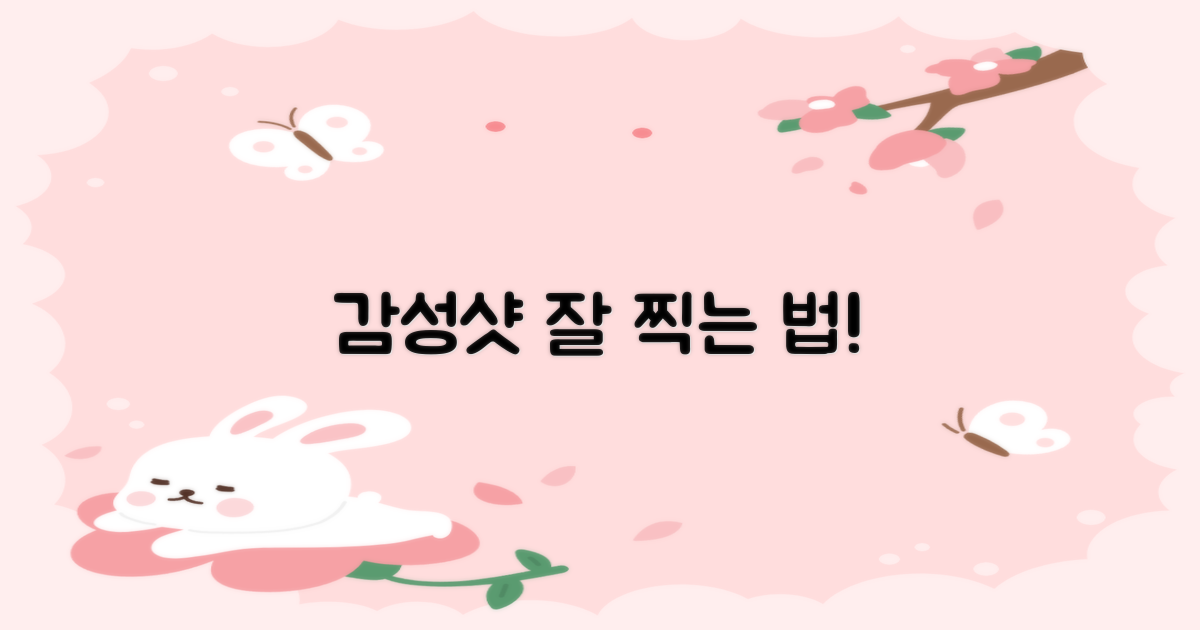 감성샷, 어떻게 찍을까?