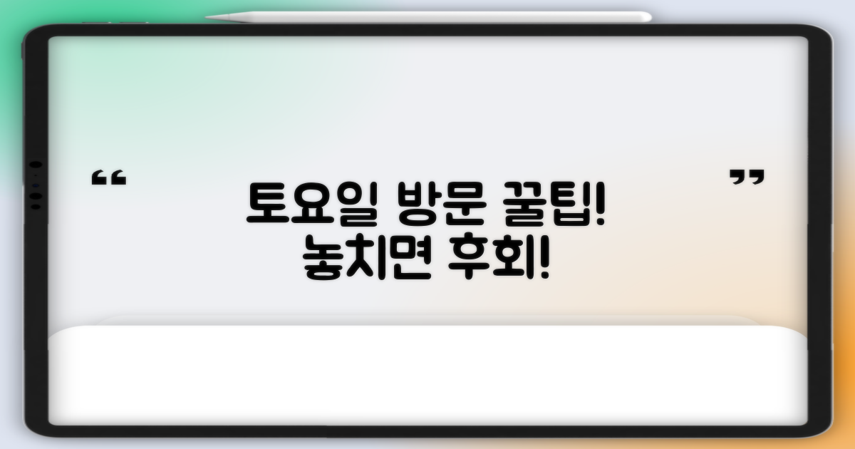 토요일 방문 팁, 놓치지 마세요!