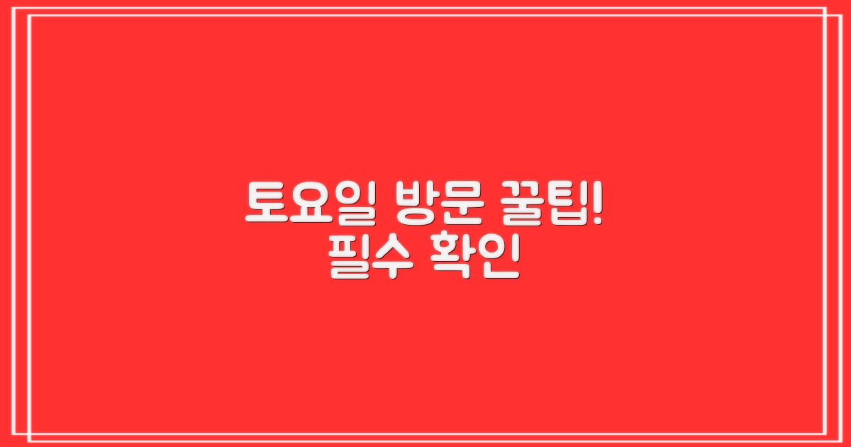토요일 방문 팁, 꼭 알아두세요!