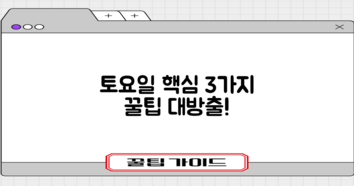 토요일 3가지 핵심 정보