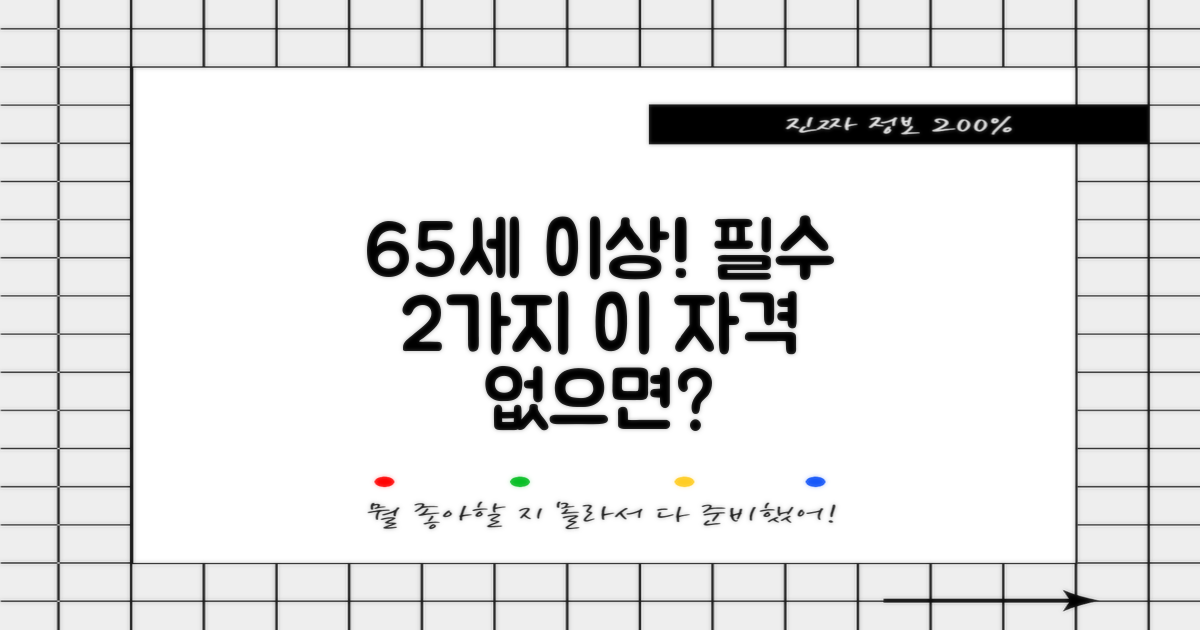 65세 이상 필수 자격 조건 2가지